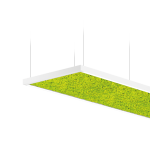 Intra Lighting Acousto Rectangle Moss Pendant