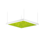 Intra Lighting Acousto Square Moss Pendant